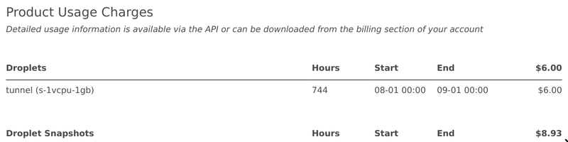 A screenshot of my DigitalOcean bill, showing I spent $6 on a VM, and $8.93 on snapshots